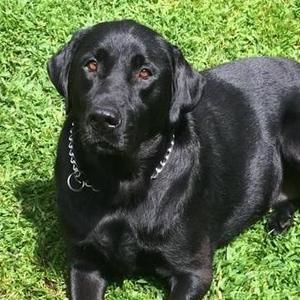 Meet your Posher, Maureen